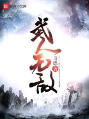 武人无敌封面