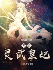 网游：灵武皇妃封面