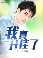 我真开挂了封面