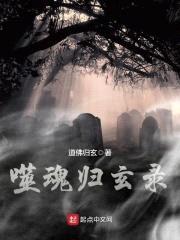 噬魂归玄录封面