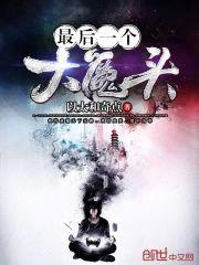 最后一个大魔头封面