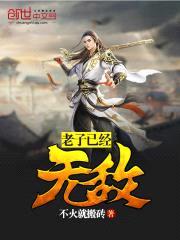 老子已经无敌封面