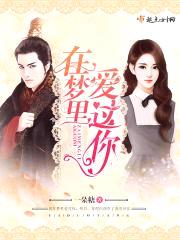 在梦里爱过你封面