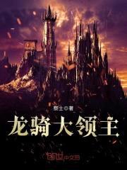 龙骑大领主封面