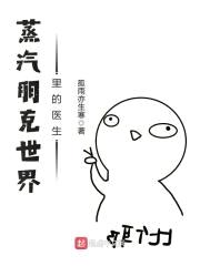 蒸汽朋克世界里的医生封面