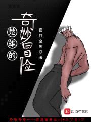 楚雄的奇妙冒险封面