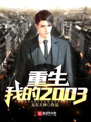 重生我的2003封面