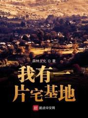 我在神农架有块地封面