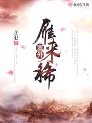 塞外雁来稀封面