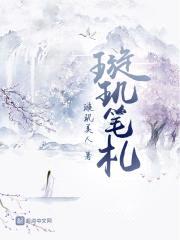 璇玑笔札封面