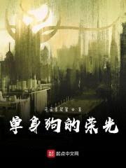单身狗的荣光封面