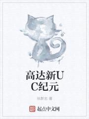 高达新UC纪元封面