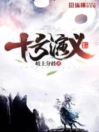 十方演义封面