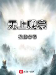 无上贱宗封面