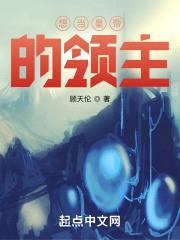 想当皇帝的领主封面
