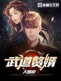 武道赘婿封面