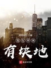 我在非洲有块地封面