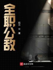 全职公敌封面