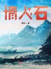 武书记记封面
