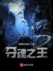 夺魂之主封面