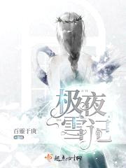 极夜雪记封面