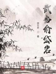 武当俞岱岩封面