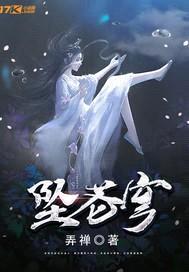 坠苍穹封面