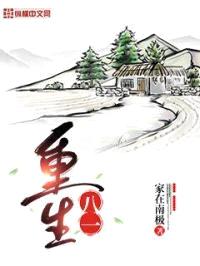 重生八一封面