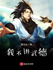 我不讲武德封面