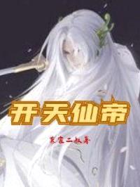 开天仙帝封面
