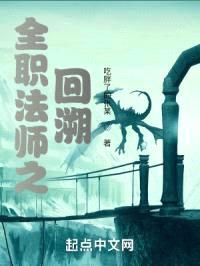 全职法师之回溯封面