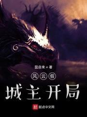 风云假城主开局封面