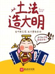 土法造大明封面