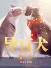 导盲犬的一生封面