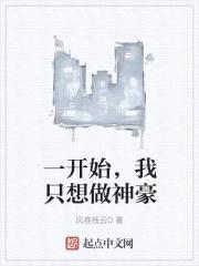 一开始，我只想做神豪封面