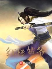 红楼姑爷封面