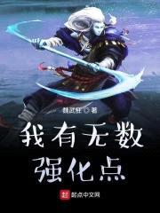 我有无数强化点封面