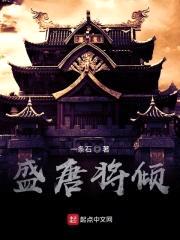 盛唐将倾封面