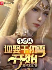 斗罗从迎娶千仞雪开始封面