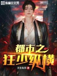 都市之狂少纵横封面