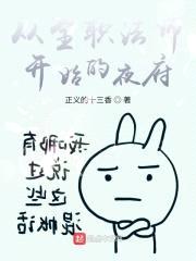 从全职法师开始的夜府封面