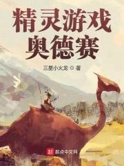 精灵游戏：奥德赛封面