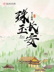 珠玉长安封面
