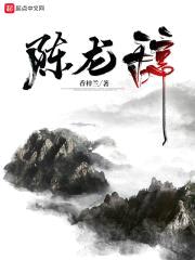 陈龙辞封面