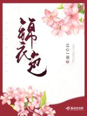 锦衣色封面
