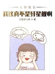 大国机长：我这真不是歼星舰啊封面