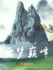 云梦巅峰封面