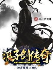 浪子剑传奇封面