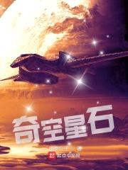 奇空星石封面