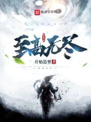 至高无尽封面